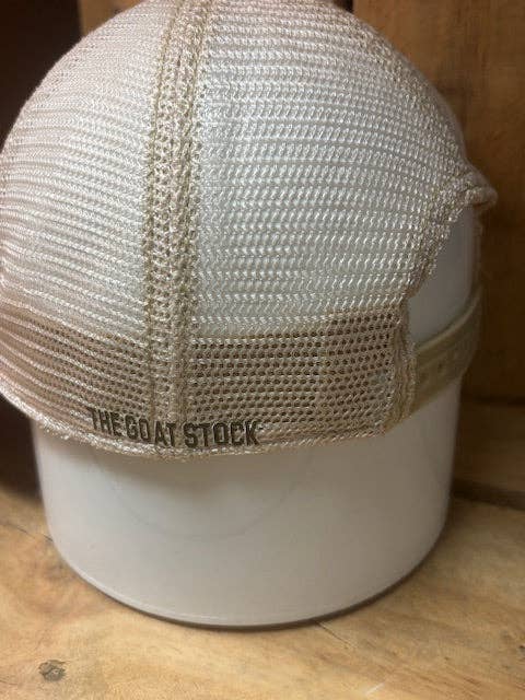 Expensive and Difficult Distressed Hat