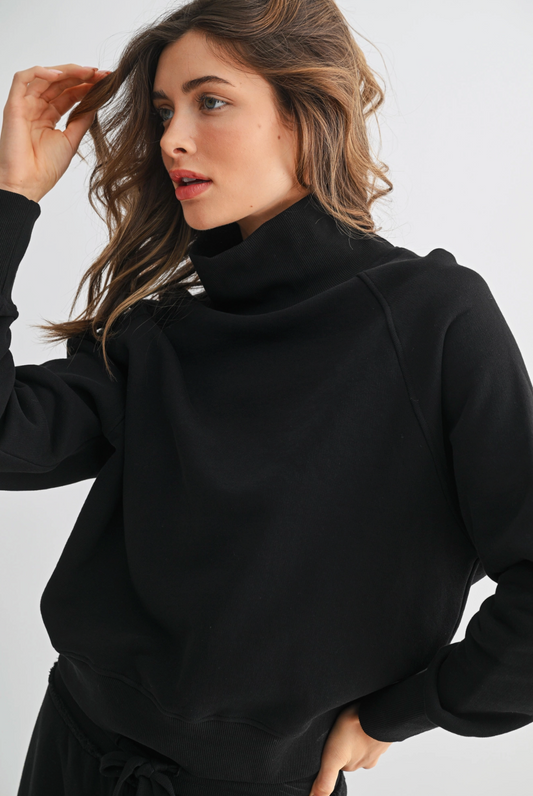 Raglan Sleeve Turtleneck