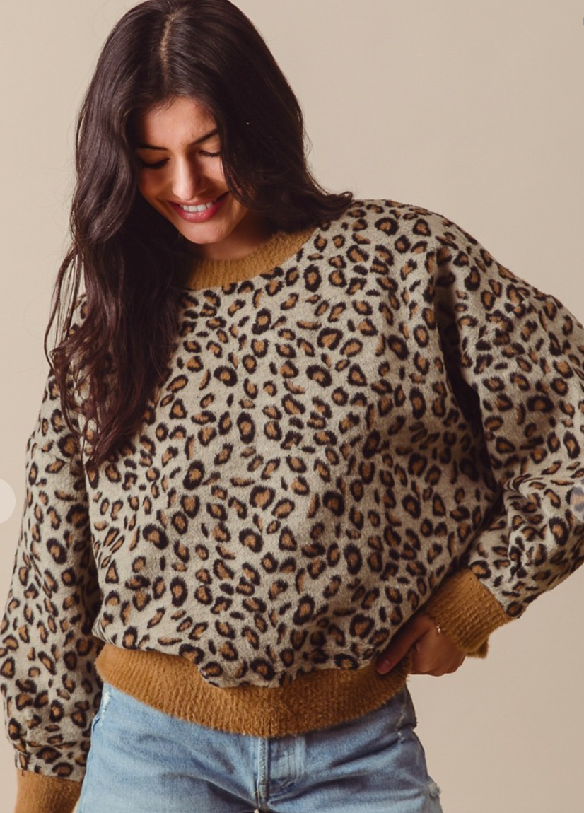 Leopard Knit top