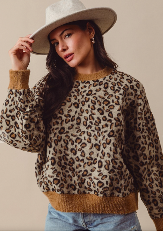 Leopard Knit top