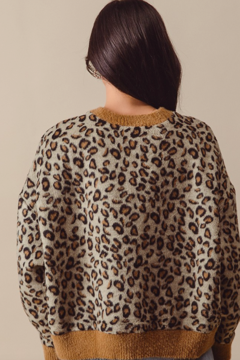 Leopard Knit top
